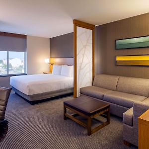 King Room Sofa Bed